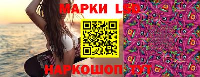 индика Новозыбков