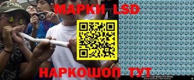индика Новозыбков