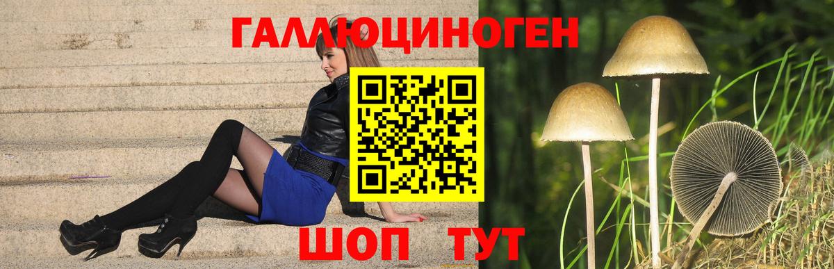 Псилоцибиновые грибы ЛСД  Псилоцибиновые грибы Psilocybe  Узловая  Вход с VPN 
